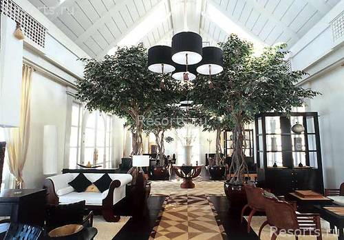 Banyan Tree Deluxe 14